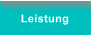 Leistung