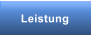 Leistung